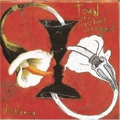 Afbeelding van Toad The Wet Sprocket Dulcinea