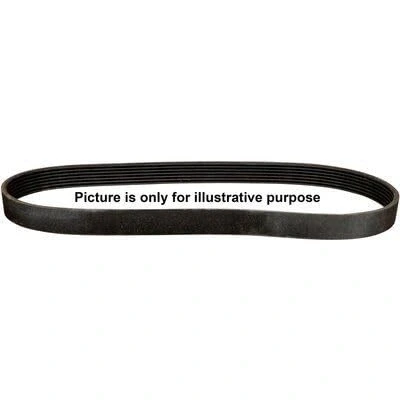 Afbeelding van Poly V riem JP GROUP 4818103300