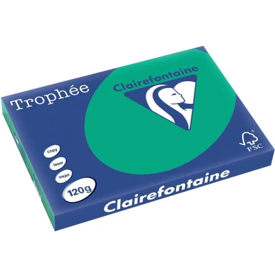 Afbeelding van Clairefontaine Trophée Intens, gekleurd papier, A3, 120 g, 250 vel, dennengroen 5 stuks