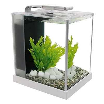 Afbeelding van Fluval Spec 3 Nano Aquarium, met 10 liter inhoud, in wit