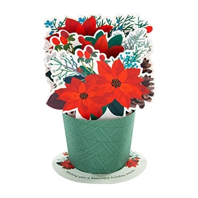 Afbeelding van Hallmark Kerstkaart Traditioneel 3D pop up rode kerststerontwerp