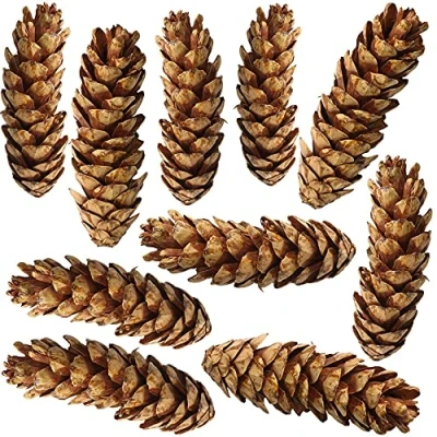Afbeelding van Matches21 decoratieve dennenappels op draad natuurlijke decoratie herfstdecoratie bruin gelakt knutselmateriaal 10 delige set per stuk 15 25 cm