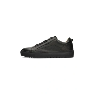 Afbeelding van Lage Sneakers Ps Poelman &quot;NIGEL&quot; Herren