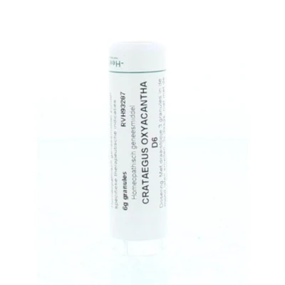 Afbeelding van Homeoden Heel Crataegus Oxyacantha D6, 6 gram