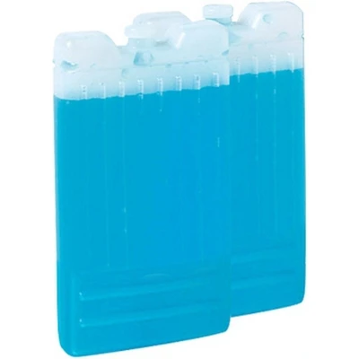 Afbeelding van 2x stuks Thermos luxe koelelementen van 8 x 15 cm voor koeltas of koelbox