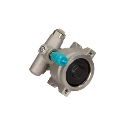 Afbeelding van Servo pomp MAXGEAR 48 0110