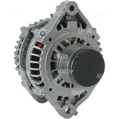 Afbeelding van Dynamo / Alternator HC CARGO 113787