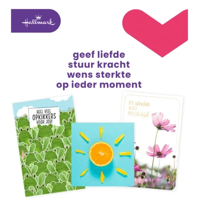Afbeelding van Wenskaart Hallmark navulset beterschap/sterkte 12 kaarten