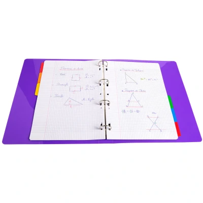 Afbeelding van Exacompta ref. 2306E Witte tabbladen 160g/m2 FSC® met 6 kleurneutrale tabs versterkt en gelamineerd Afdrukbare indexpagina Formaat A4