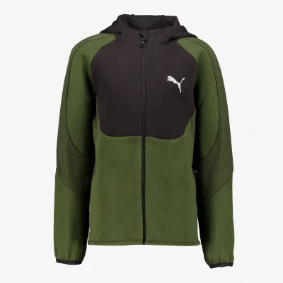 Afbeelding van Puma Evostripe FULL ZIP Hoodie Unisex Sweater met rits voor kinderen, Maat: 176, Myrtle