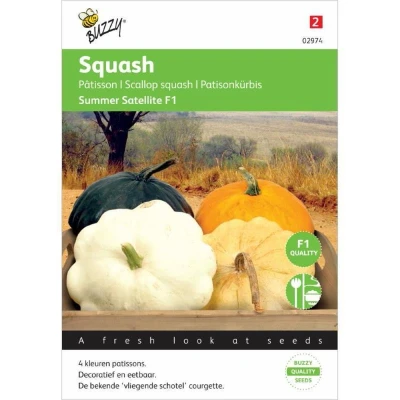 Afbeelding van Courgette Patisson Colour mix