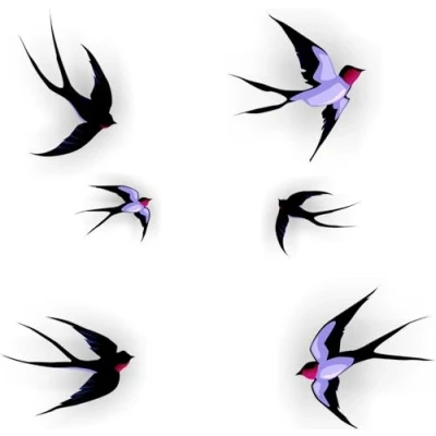 Afbeelding van Zwaluw raamstickers set 6 vogelbescherming stickers