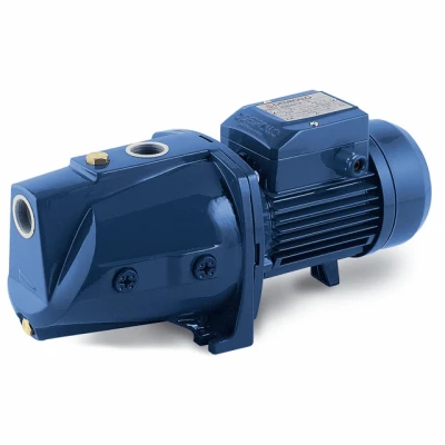 Afbeelding van Pedrollo JSWm /3CM 1,5pk 230V