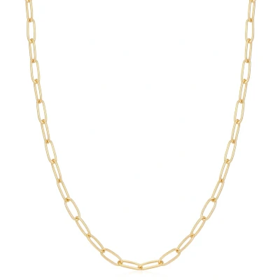 Afbeelding van Ania Haie dames Link ketting verguld