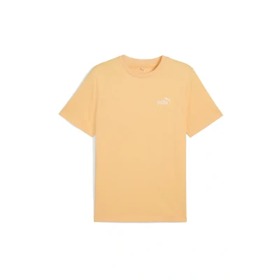 Afbeelding van Puma Small LOGO Tshirt basic, Heren, Maat: XL, Almost apricot