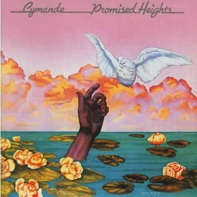 Afbeelding van Cymande Promised Heights (CD)