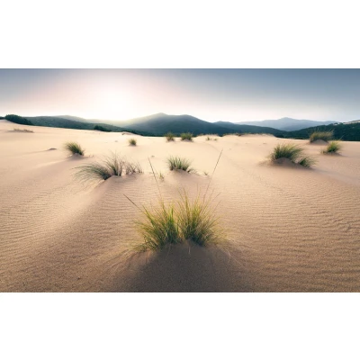 Afbeelding van Komar Vliesbehang Vivid Dunes (9 stuks)