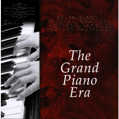 Afbeelding van Hofmann, Busoni, Friedman,Lamond, M The Grand Piano Era (Chopin, Liszt, (CD)