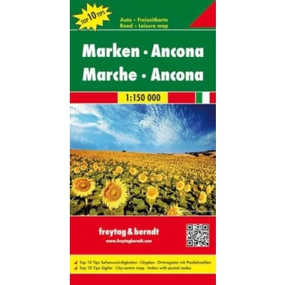Afbeelding van FB Marche Ancona
