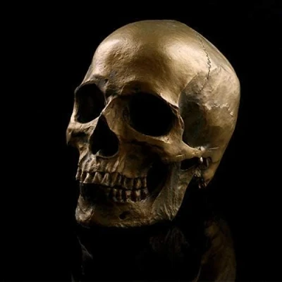 Afbeelding van VOANZO Verwijderbare Retro Menselijke Schedel Replica Hars Anatomisch Model Medische Levensgrote Realistische 1:1