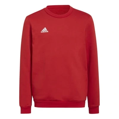 Afbeelding van adidas Performance Entrada 22 Sweater, Maat: 140, Team power red