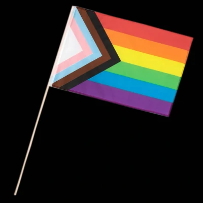 Afbeelding van Zwaaivlag Regenboog Progress 30x45cm