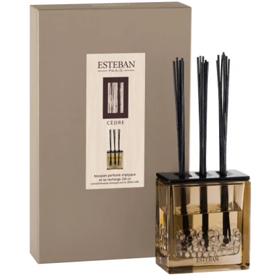 Afbeelding van Cedre, ceder Estéban Diffuser 250 ml bouquet parfumé triptyque, kamergeur