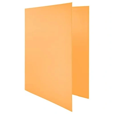 Afbeelding van Raylu Paper® 4 x D ringband 25 mm, A4 map met ringen voor het opbergen van documenten, formaat 33,5 cm hoog 26 breed en dikke rug (pasteloranje)