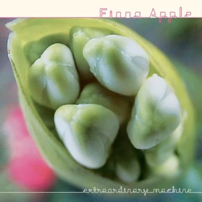Afbeelding van Fiona Apple Extraordinary Machine (2 LPs)