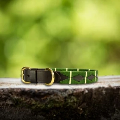 Afbeelding van Leren halsband met lijn Maat XS Polo print groen MTB Equestrian