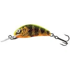 Afbeelding van Salmo Floating Hornet 4cm 3g (diepte: 1.5 3.1m) Soort : Gold Fluo Perch