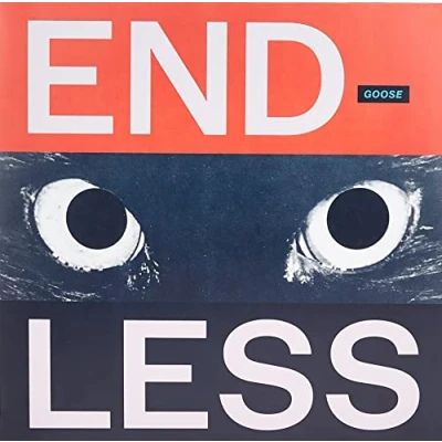 Afbeelding van Goose Endless (2 LPs)