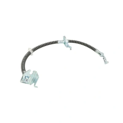 Afbeelding van Delphi Diesel Remslang LH0405