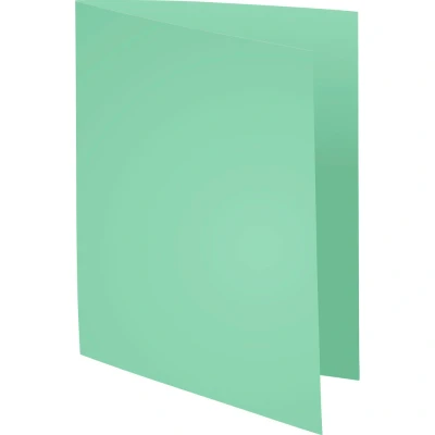 Afbeelding van Exacompta ref. 330004E Set van 100 stevige pastelkleurige dossiermappen SUPER 210 g/m² in PEFC™ gecertificeerde mappen Afmetingen: 24 x 32cm Formaat A4 lichtgroene kleur