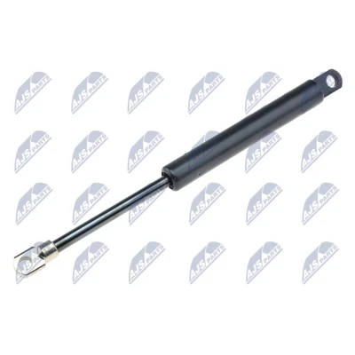 Afbeelding van Gasveer, motorkap NTY AE BM 028