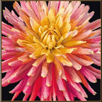 Afbeelding van Dahlia Aida Black 18 count 441.05