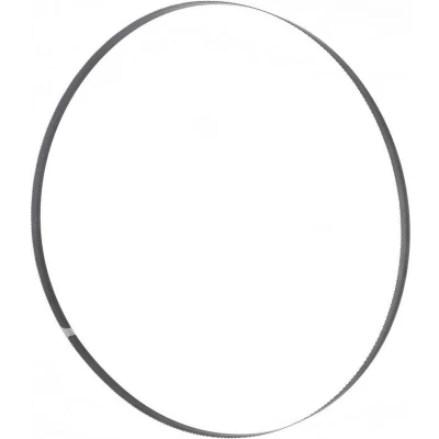 Afbeelding van Holzmann Maschinen BSB300B10 Bandzaagblad 2240 x 10 0.4 1 stuk(s) Geschikt voor model HBS300J_230V