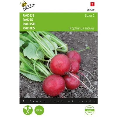 Afbeelding van Radijs Saxa 2