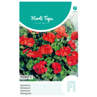 Afbeelding van Pelargonium, Geranium Mustang F1 rood