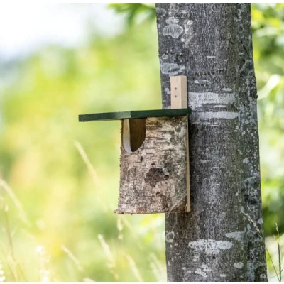 Afbeelding van Berken nestkast half open voor tuinvogels