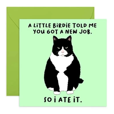 Afbeelding van Central 23 Grappige nieuwe banenkaart &#039;A Little Birdie... New Job&#039; Brutale baan kaart voor haar felicitatiekaart wordt geleverd met leuke stickers