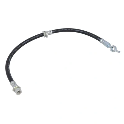Afbeelding van Delphi Diesel Remslang LH6455