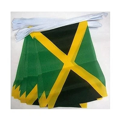 Afbeelding van Jamaica 4 meter BUNTING Vlag 20 vlaggen 6&#039;&#039; x 4&#039;&#039; Jamaicaanse STRING 10 15 cm AZ FLAG