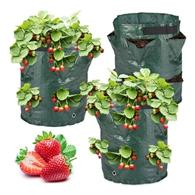Afbeelding van Relaxdays Kweekzak aardbeien set van 3 beplantingszak groeizak kunststof groen