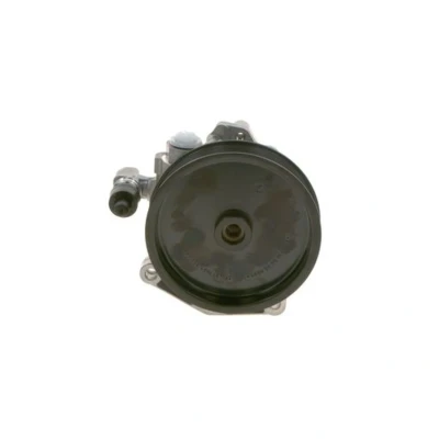 Afbeelding van Bosch Servopomp K S00 001 889