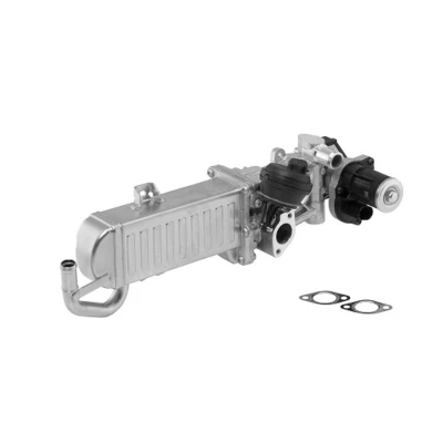 Afbeelding van Wahler EGR module 710861D