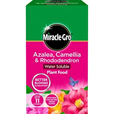 Afbeelding van Miracle Gro 1 kg azalea, camellia en rododendron oplosbaar plantenvoeding