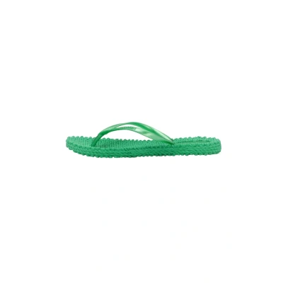 Afbeelding van Ilse Jacobsen CHEERFUL02 Teenslippers, Dames, Maat: 36, Fern green Gevulkaniseerd rubber