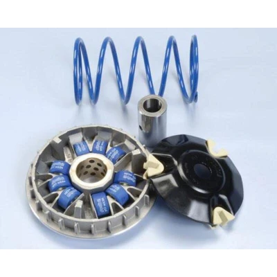 Afbeelding van POLINI Hi Speed Variator Piaggio 200/250/300