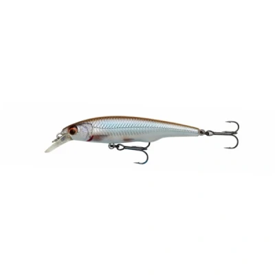 Afbeelding van Savage Gear Gravity Twitch SR 9.5cm 15g Suspending Kleur : Roach